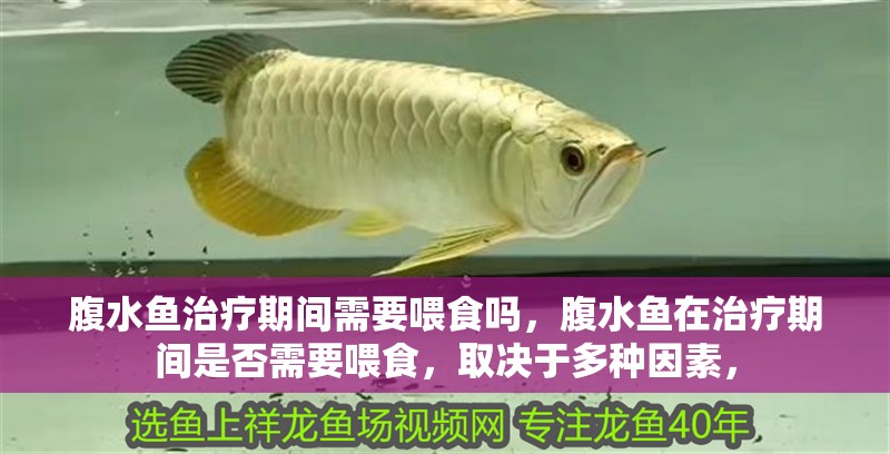 腹水魚治療期間需要喂食嗎，腹水魚在治療期間是否需要喂食，取決于多種因素，