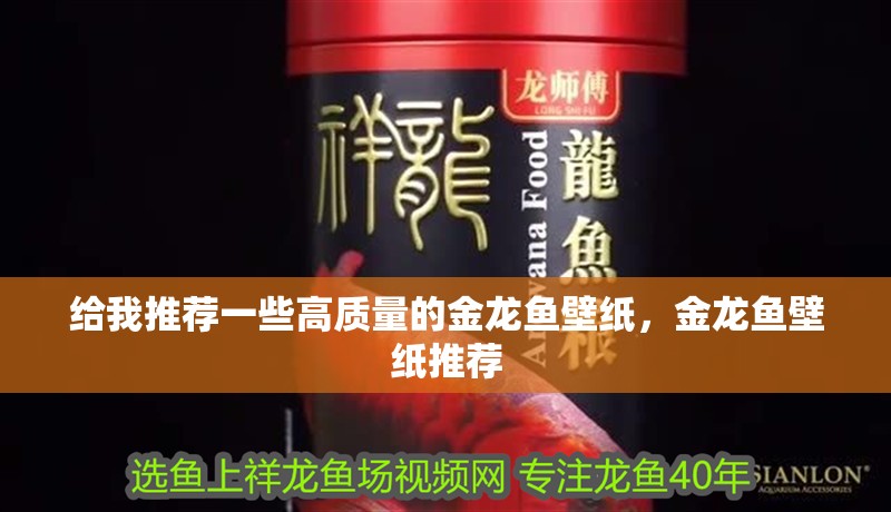 給我推薦一些高質量的金龍魚壁紙，金龍魚壁紙推薦
