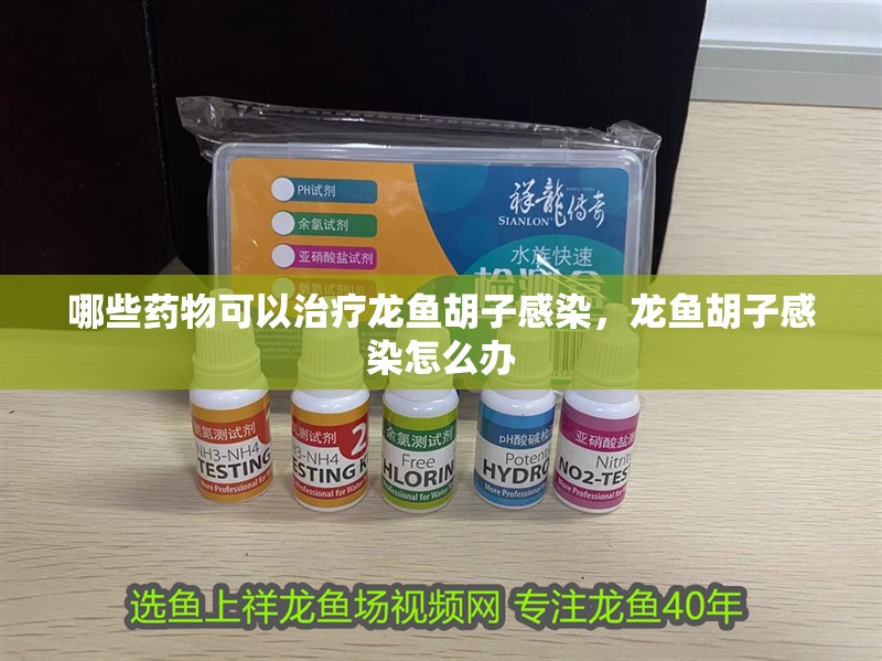哪些藥物可以治療龍魚胡子感染，龍魚胡子感染怎么辦