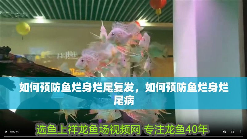 如何預防魚爛身爛尾復發，如何預防魚爛身爛尾病