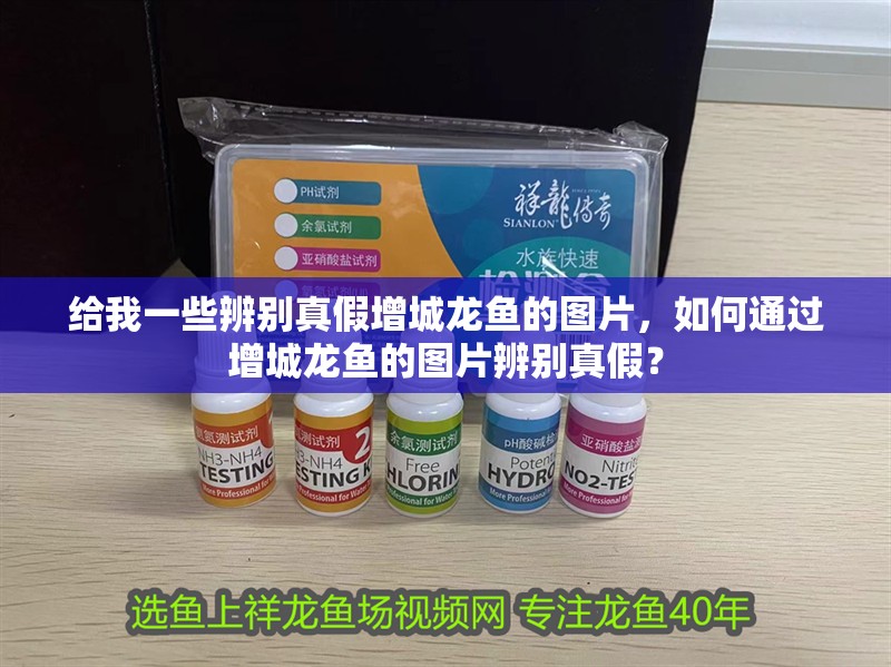 給我一些辨別真假增城龍魚的圖片，如何通過增城龍魚的圖片辨別真假？