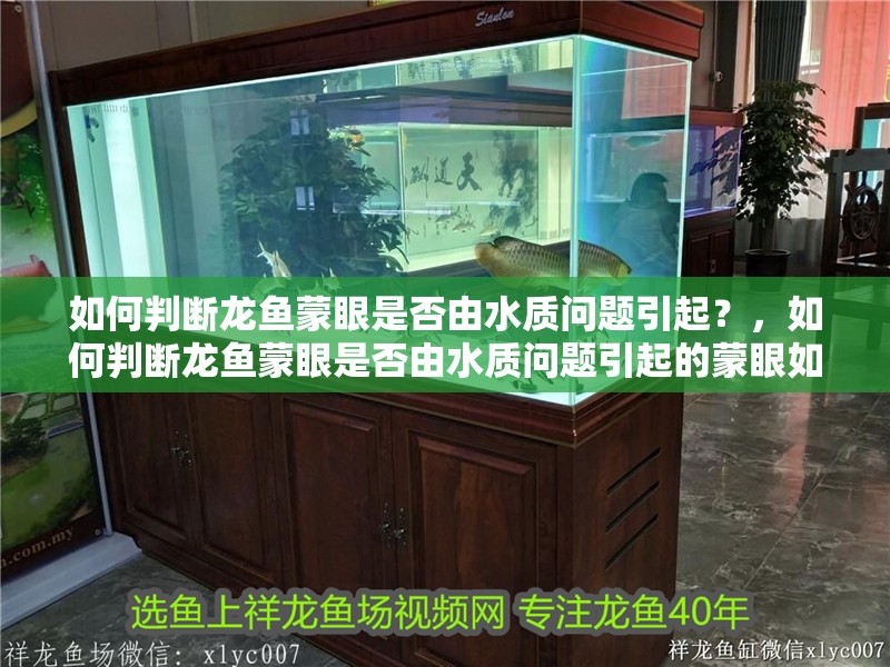 如何判斷龍魚蒙眼是否由水質問題引起？，如何判斷龍魚蒙眼是否由水質問題引起的蒙眼如何治療