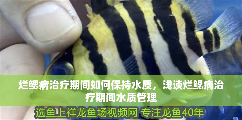 爛鰓病治療期間如何保持水質，淺談爛鰓病治療期間水質管理