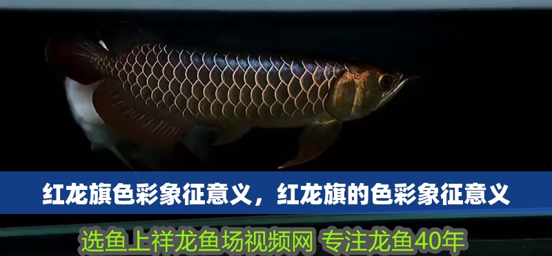 紅龍旗色彩象征意義，紅龍旗的色彩象征意義