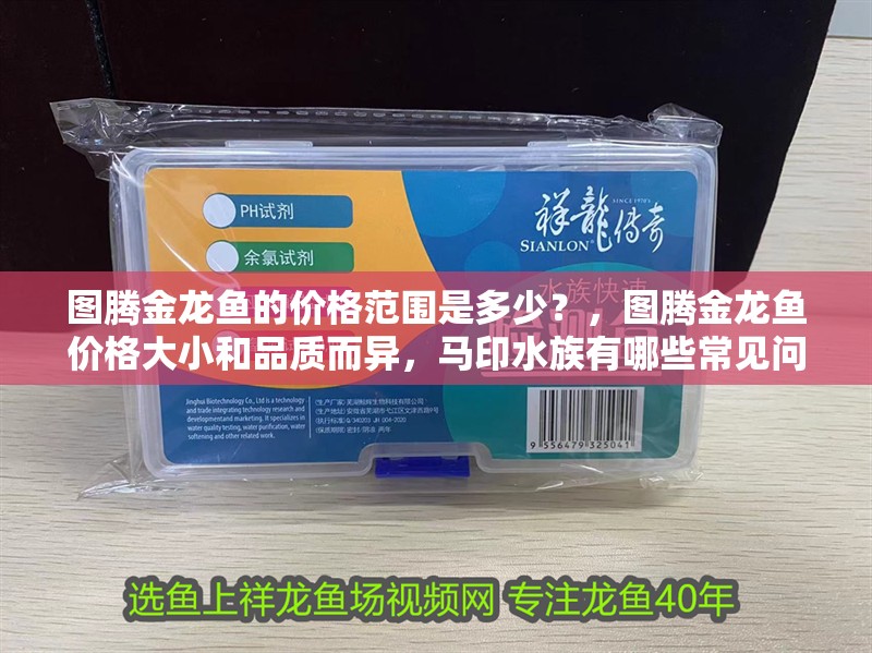圖騰金龍魚的價(jià)格范圍是多少？，圖騰金龍魚價(jià)格大小和品質(zhì)而異，馬印水族有哪些常見問題解答