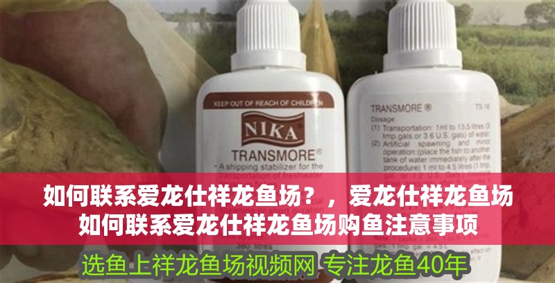 如何聯系愛龍仕祥龍魚場？，愛龍仕祥龍魚場如何聯系愛龍仕祥龍魚場購魚注意事項