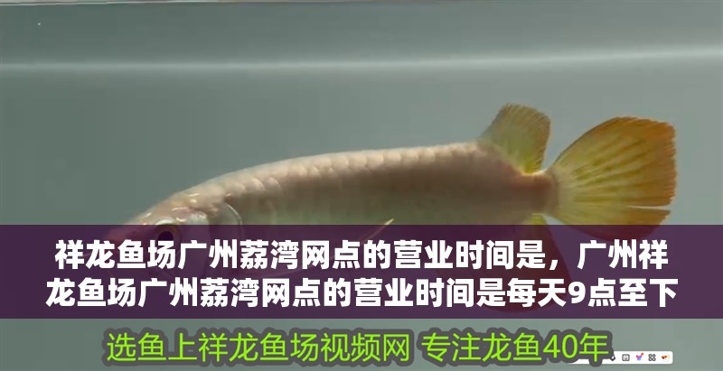 祥龍魚場廣州荔灣網點的營業時間是，廣州祥龍魚場廣州荔灣網點的營業時間是每天9點至下午6點