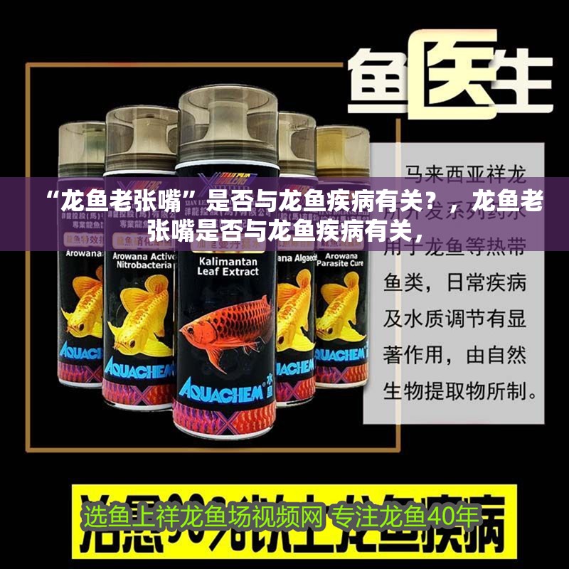 “龍魚老張嘴”是否與龍魚疾病有關？，龍魚老張嘴是否與龍魚疾病有關，