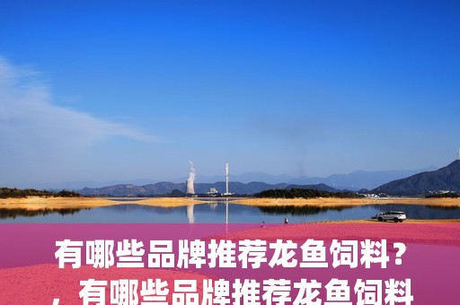 有哪些品牌推薦龍魚飼料？，有哪些品牌推薦龍魚飼料,仟湖（qianhu）