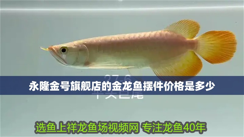 永隆金號旗艦店的金龍魚擺件價格是多少