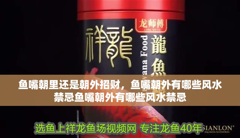 魚嘴朝里還是朝外招財，魚嘴朝外有哪些風水禁忌魚嘴朝外有哪些風水禁忌