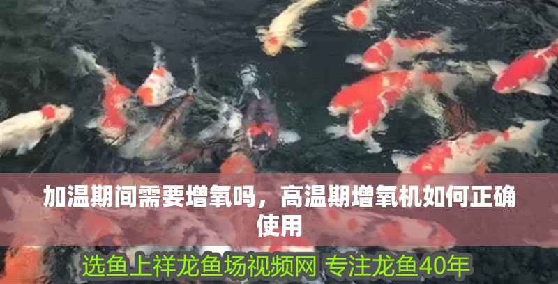 加溫期間需要增氧嗎，高溫期增氧機如何正確使用