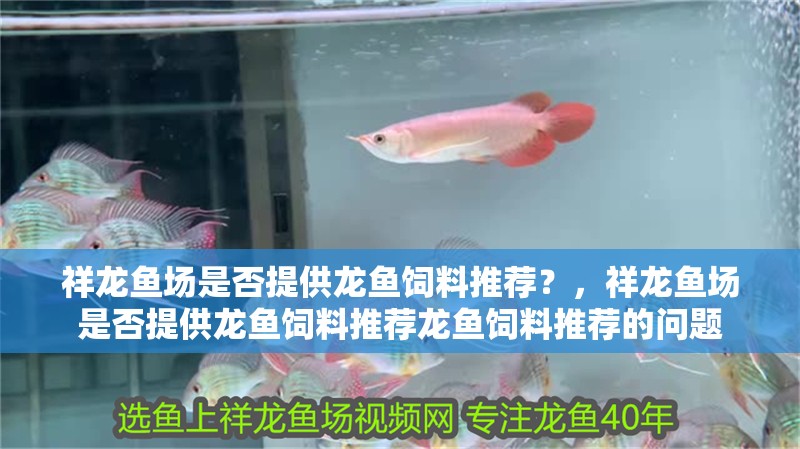 祥龍魚(yú)場(chǎng)是否提供龍魚(yú)飼料推薦？，祥龍魚(yú)場(chǎng)是否提供龍魚(yú)飼料推薦龍魚(yú)飼料推薦的問(wèn)題