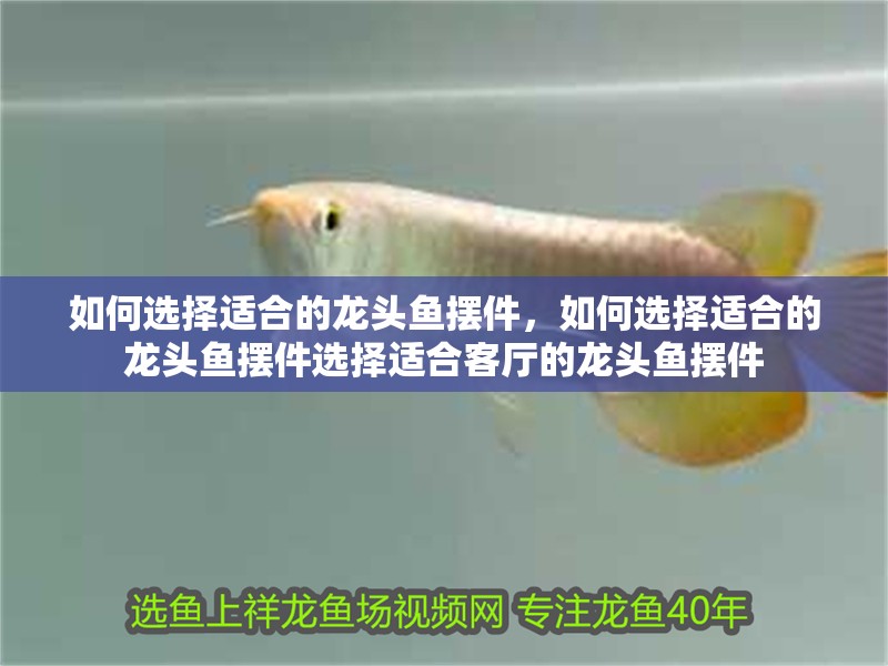 如何選擇適合的龍頭魚擺件，如何選擇適合的龍頭魚擺件選擇適合客廳的龍頭魚擺件