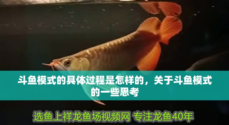 斗魚模式的具體過程是怎樣的，關于斗魚模式的一些思考
