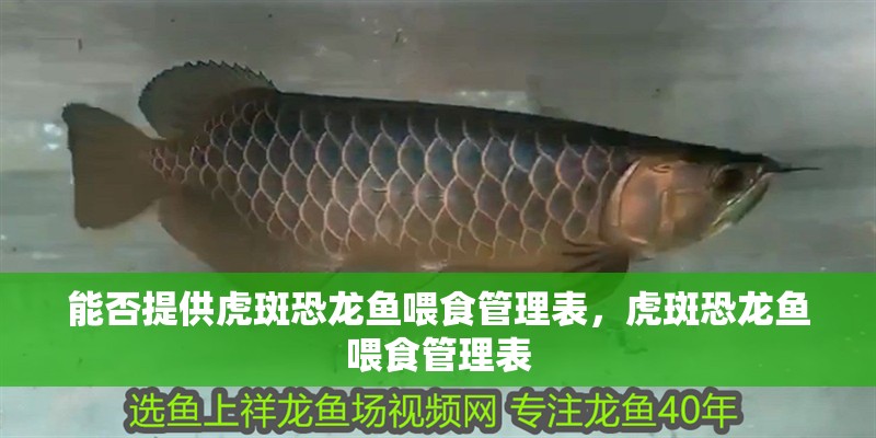 能否提供虎斑恐龍魚喂食管理表，虎斑恐龍魚喂食管理表