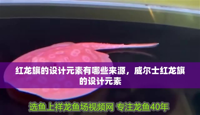 紅龍旗的設計元素有哪些來源，威爾士紅龍旗的設計元素