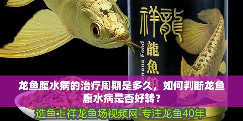 龍魚腹水病的治療周期是多久，如何判斷龍魚腹水病是否好轉(zhuǎn)？