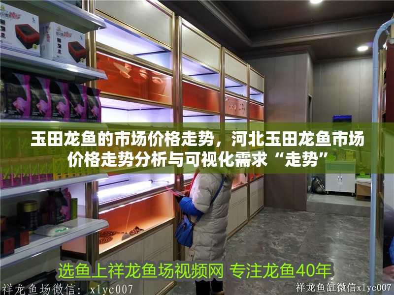 玉田龍魚的市場(chǎng)價(jià)格走勢(shì)，河北玉田龍魚市場(chǎng)價(jià)格走勢(shì)分析與可視化需求“走勢(shì)”