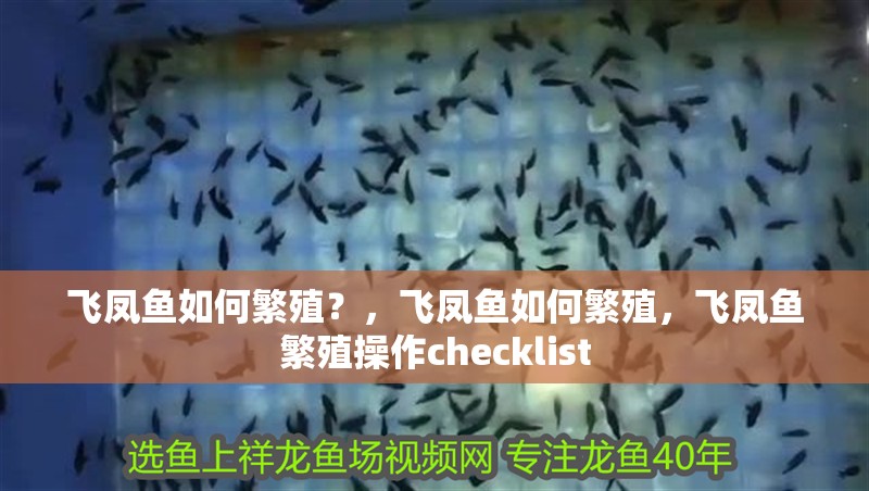飛鳳魚(yú)如何繁殖？，飛鳳魚(yú)如何繁殖，飛鳳魚(yú)繁殖操作checklist