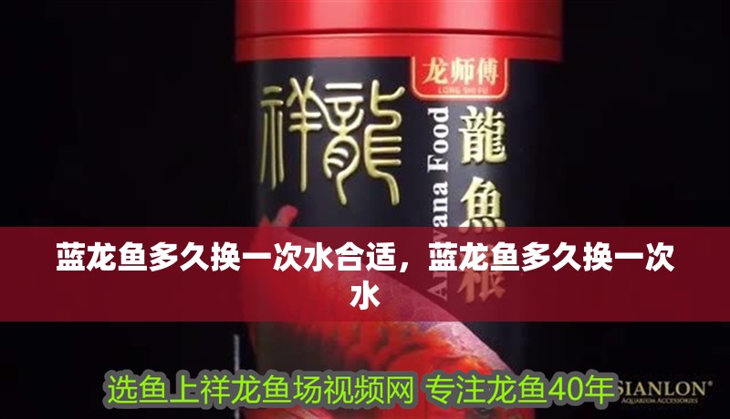 藍龍魚多久換一次水合適，藍龍魚多久換一次水