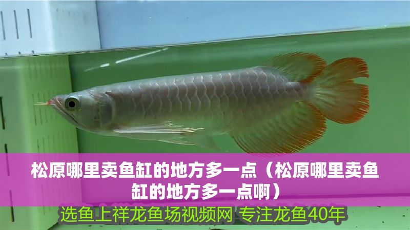 松原哪里賣魚缸的地方多一點（松原哪里賣魚缸的地方多一點?。? title=