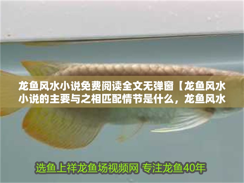 龍魚風水小說免費閱讀全文無彈窗【龍魚風水小說的主要與之相匹配情節是什么，龍魚風水布局】