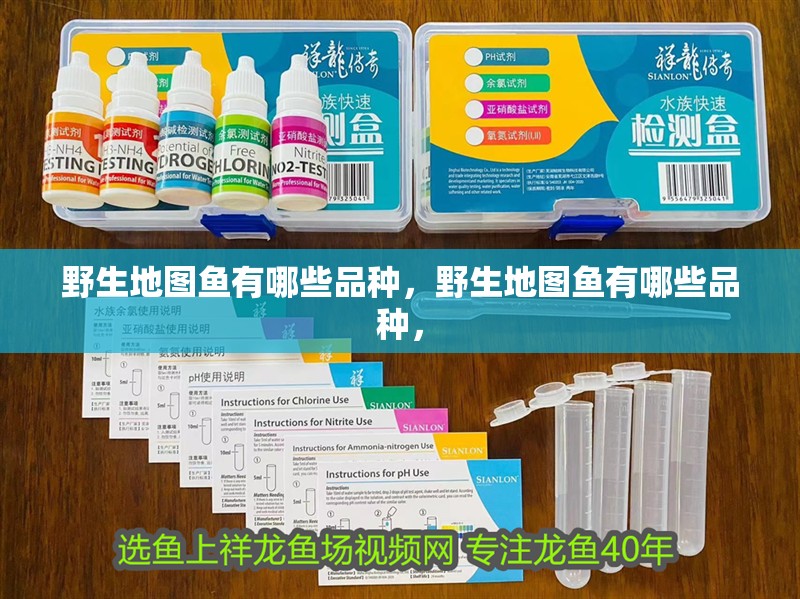 如何判斷龍魚是否復發立鱗病，如何判斷龍魚復發立鱗病