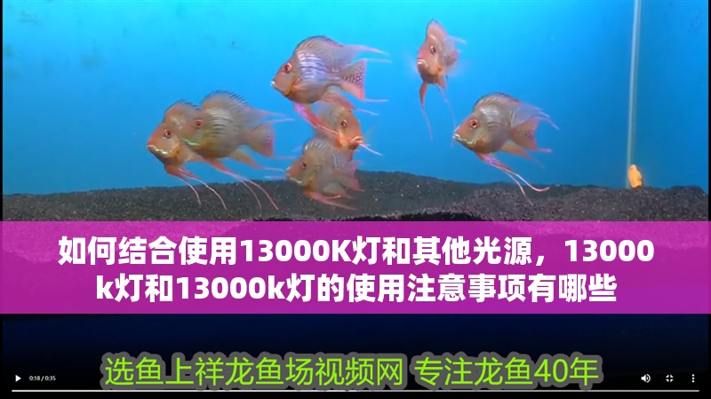 如何結合使用13000K燈和其他光源，13000k燈和13000k燈的使用注意事項有哪些