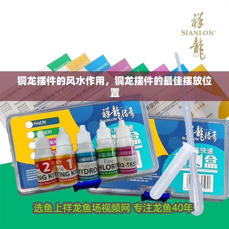 銅龍擺件的風水作用，銅龍擺件的最佳擺放位置