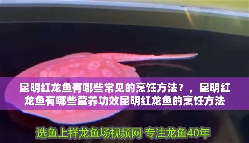 昆明紅龍魚有哪些常見的烹飪方法？，昆明紅龍魚有哪些營養功效昆明紅龍魚的烹飪方法