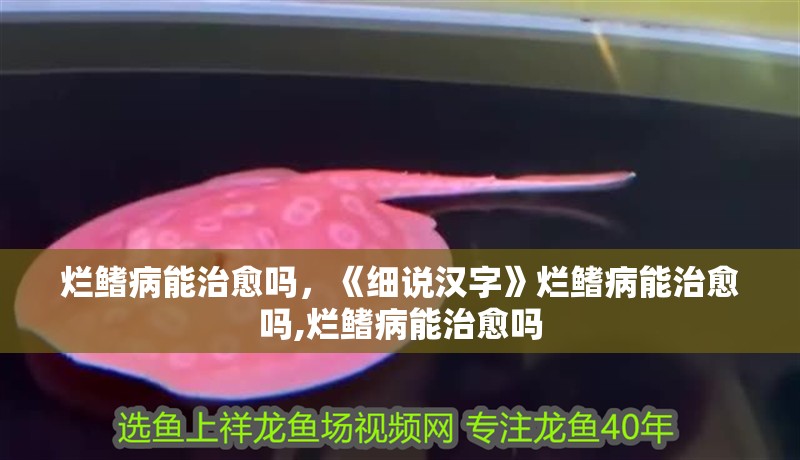 爛鰭病能治愈嗎，《細說漢字》爛鰭病能治愈嗎,爛鰭病能治愈嗎
