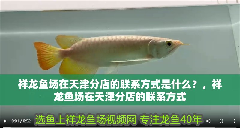 祥龍魚場在天津分店的聯系方式是什么？，祥龍魚場在天津分店的聯系方式