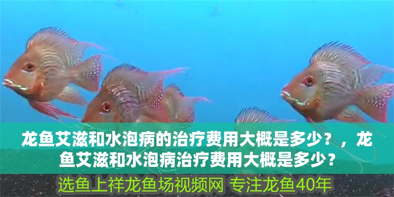 龍魚艾滋和水泡病的治療費用大概是多少？，龍魚艾滋和水泡病治療費用大概是多少？
