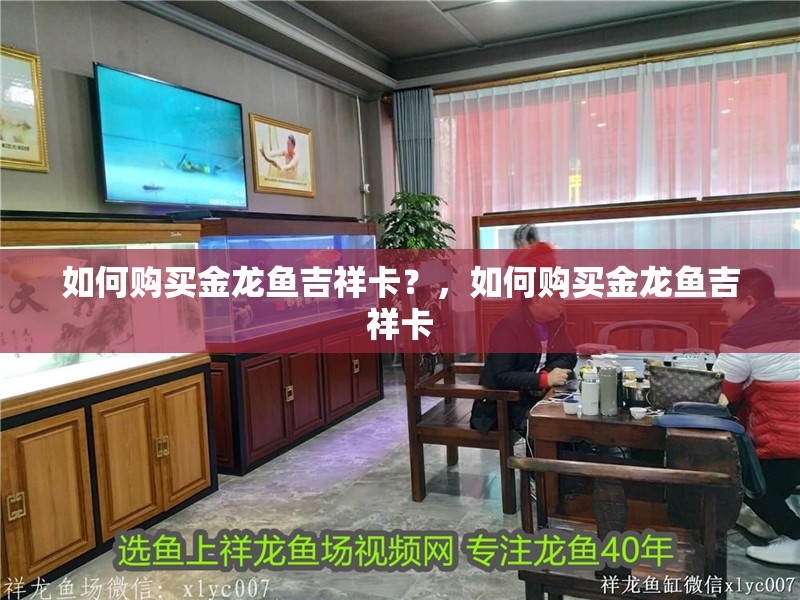 如何購(gòu)買金龍魚(yú)吉祥卡？，如何購(gòu)買金龍魚(yú)吉祥卡