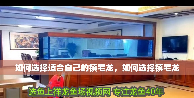 如何選擇適合自己的鎮宅龍，如何選擇鎮宅龍