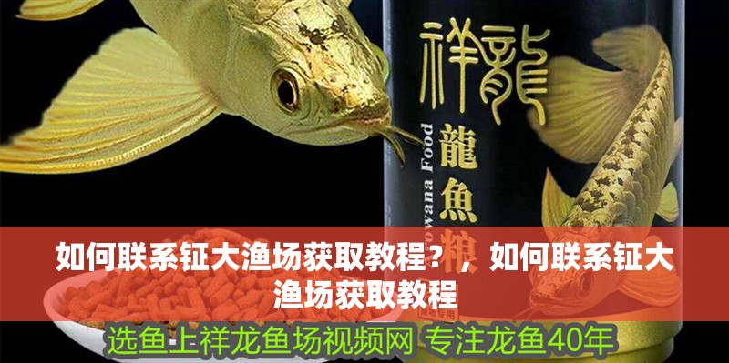 如何聯(lián)系鉦大漁場獲取教程？，如何聯(lián)系鉦大漁場獲取教程