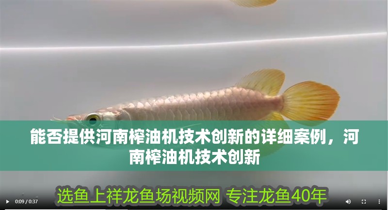 能否提供河南榨油機技術創(chuàng)新的詳細案例，河南榨油機技術創(chuàng)新