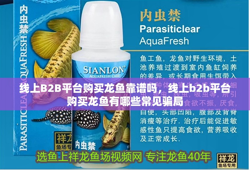 線上B2B平臺購買龍魚靠譜嗎，線上b2b平臺購買龍魚有哪些常見騙局