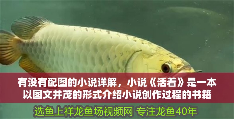 有沒有配圖的小說詳解，小說《活著》是一本以圖文并茂的形式介紹小說創作過程的書籍