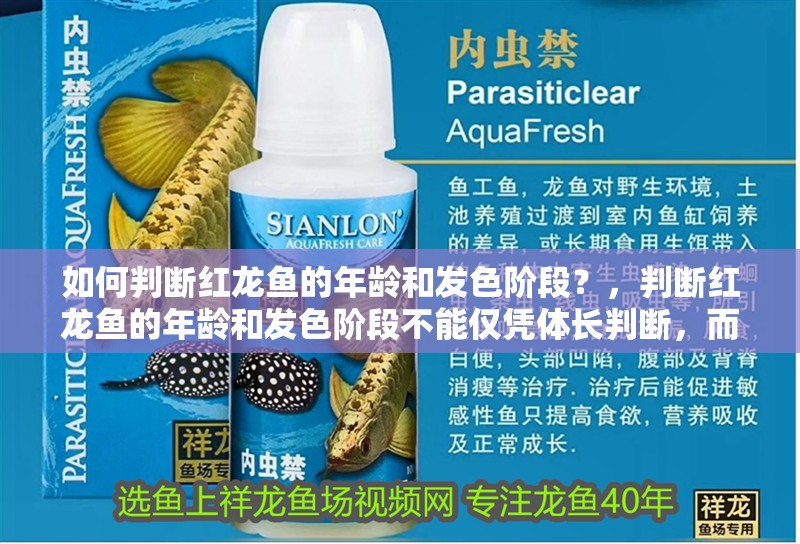 如何判斷紅龍魚的年齡和發(fā)色階段？，判斷紅龍魚的年齡和發(fā)色階段不能僅憑體長判斷，而要結(jié)合