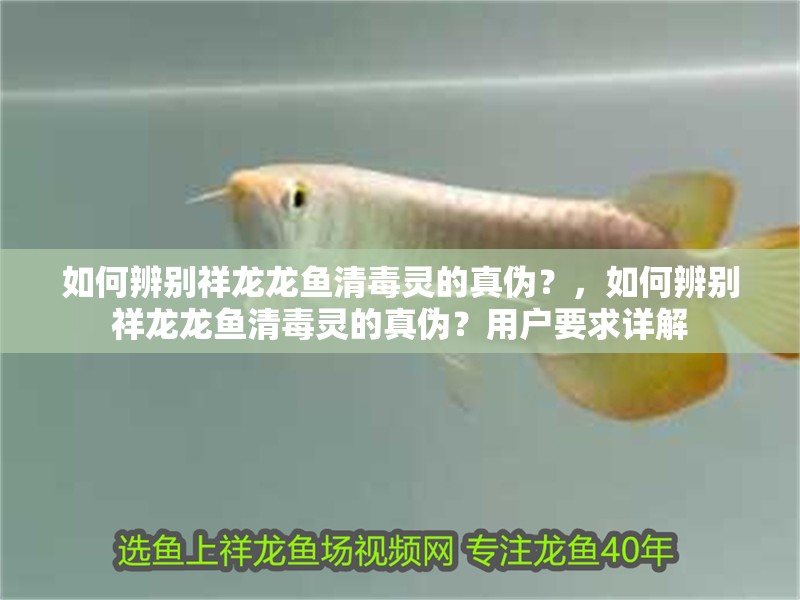 如何辨別祥龍龍魚清毒靈的真偽？，如何辨別祥龍龍魚清毒靈的真偽？用戶要求詳解