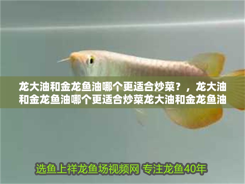 龍大油和金龍魚(yú)油哪個(gè)更適合炒菜？，龍大油和金龍魚(yú)油哪個(gè)更適合炒菜龍大油和金龍魚(yú)油哪個(gè)更健康
