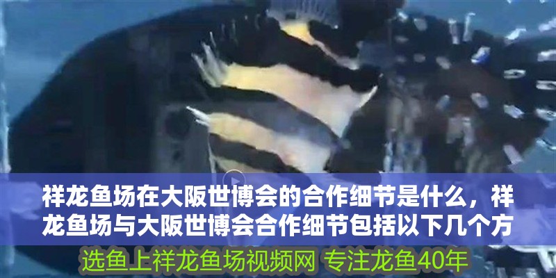 祥龍魚場在大阪世博會的合作細節是什么，祥龍魚場與大阪世博會合作細節包括以下幾個方面