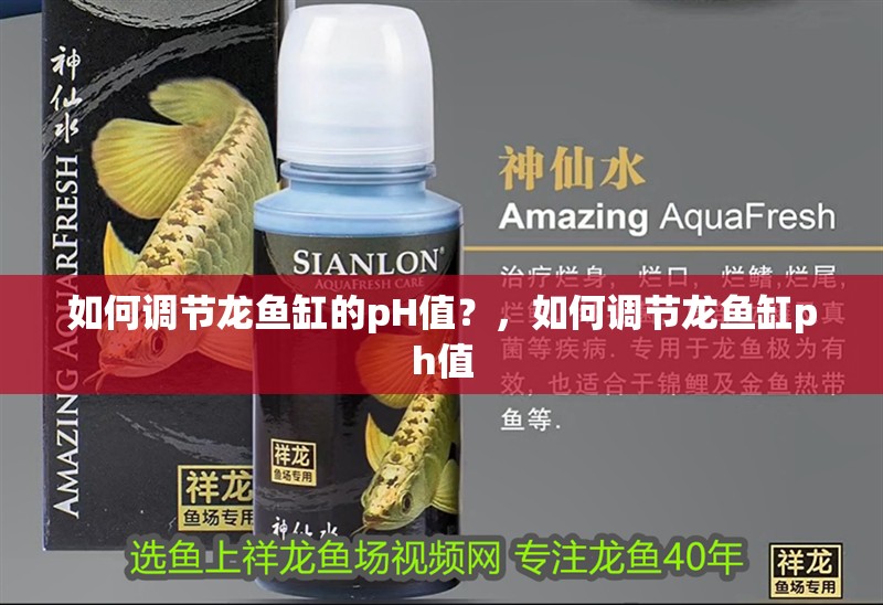 如何調節(jié)龍魚缸的pH值？，如何調節(jié)龍魚缸ph值