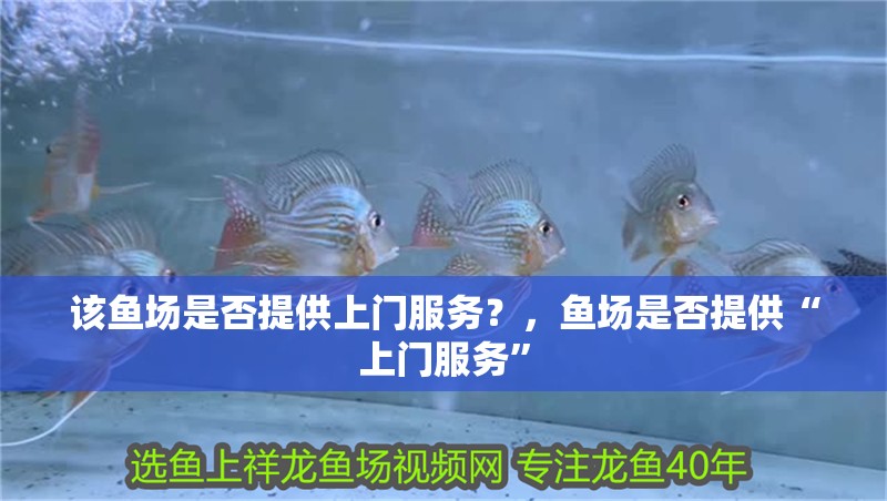該魚場是否提供上門服務？，魚場是否提供“上門服務”