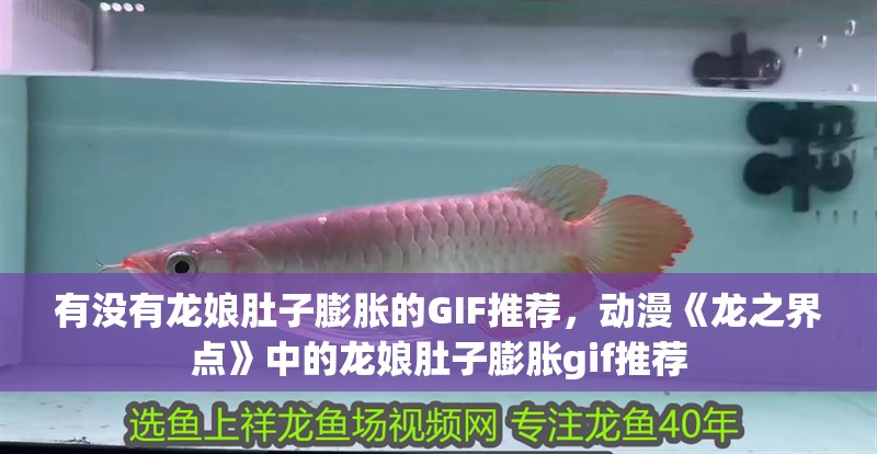 有沒有龍娘肚子膨脹的GIF推薦，動漫《龍之界點》中的龍娘肚子膨脹gif推薦