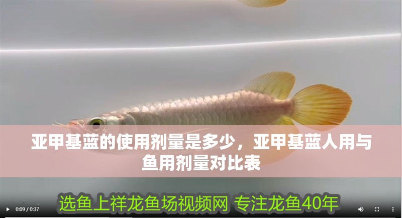 亞甲基藍的使用劑量是多少，亞甲基藍人用與魚用劑量對比表
