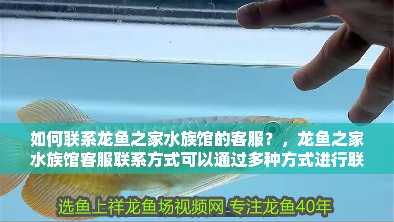 如何聯系龍魚之家水族館的客服？，龍魚之家水族館客服聯系方式可以通過多種方式進行聯系