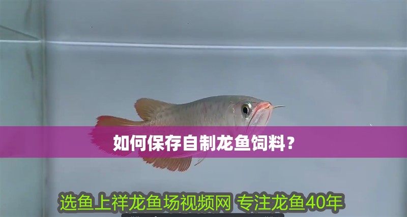 如何保存自制龍魚飼料？